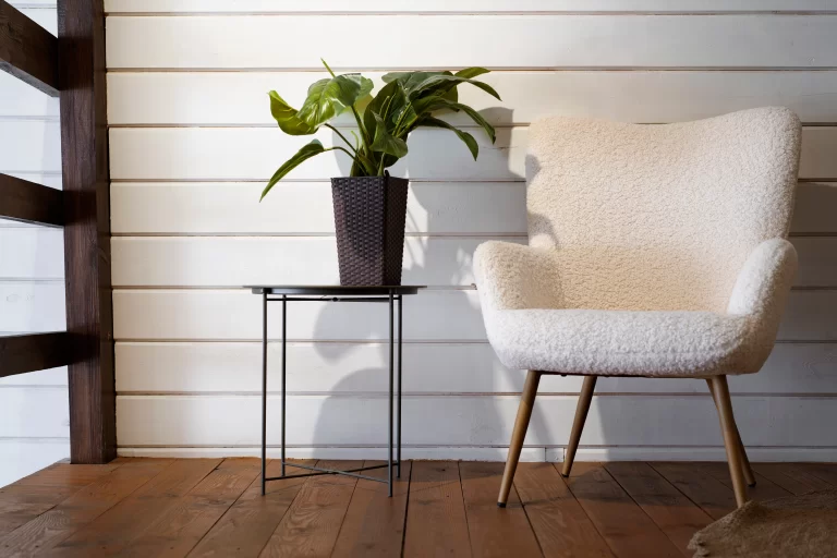 background-zoom-calls-with-chair-plant (1) (1)