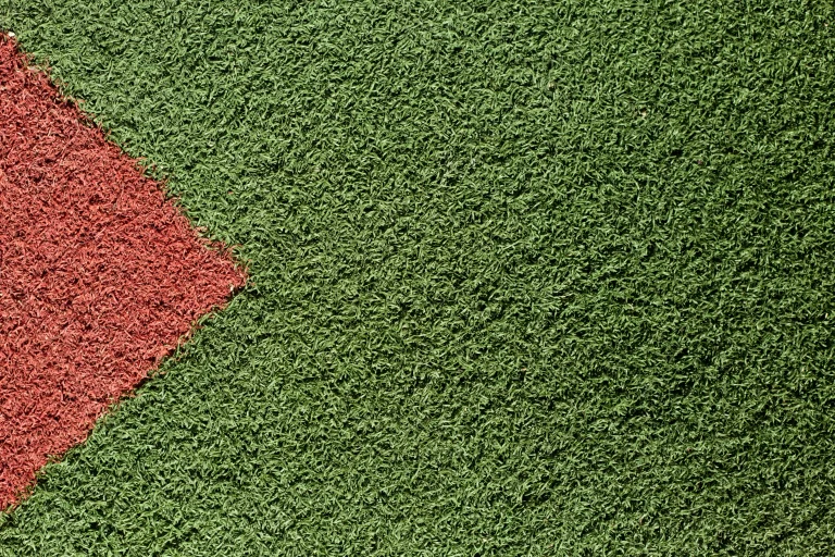 texture-green-red-grass
